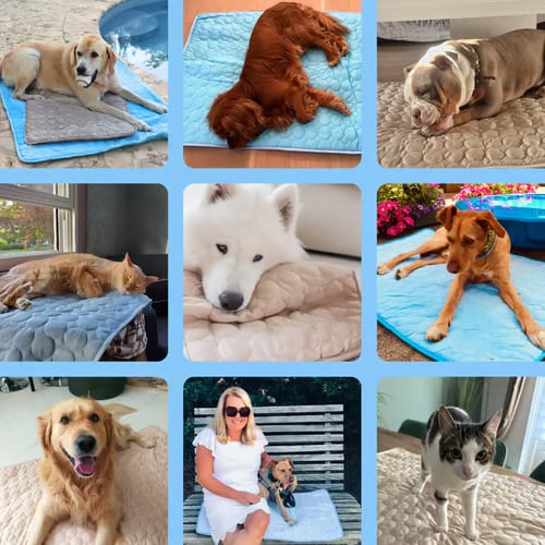 Dog Cooling Mat (4x more effective)